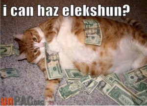 Money in politics cat